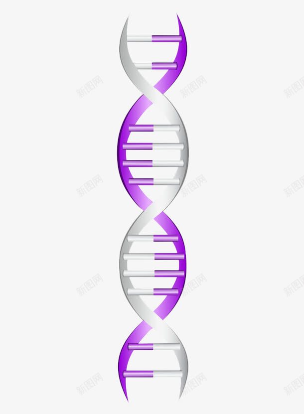 基因检测DNApng免抠素材_新图网 https://ixintu.com DNA DNA双螺旋结构图片 基因 基因检测 生物科学 螺旋结构