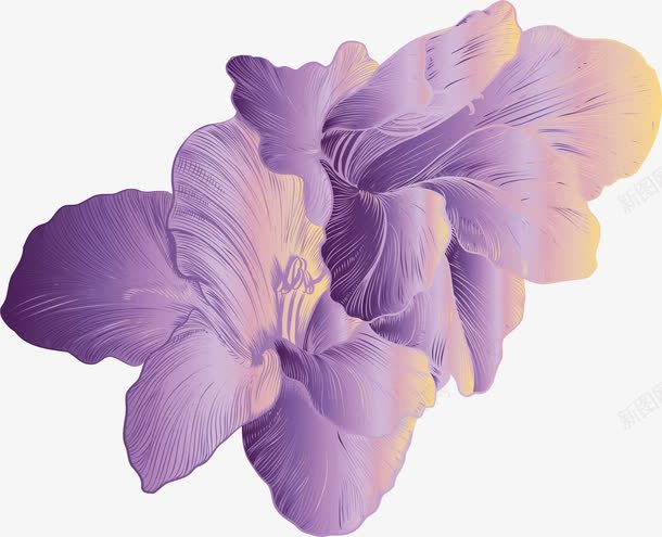 渐变紫色手绘花朵png免抠素材_新图网 https://ixintu.com 浮雕花 渐变色 渐变花朵 矢量png 紫色花朵 紫色花束