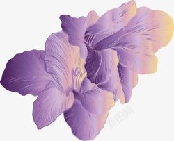 渐变紫色手绘花朵素材