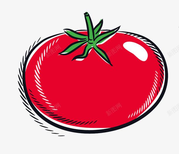 手绘番茄png免抠素材_新图网 https://ixintu.com 卡通 手绘 果蔬 水果 番茄 红色 绘画 蔬菜 食物