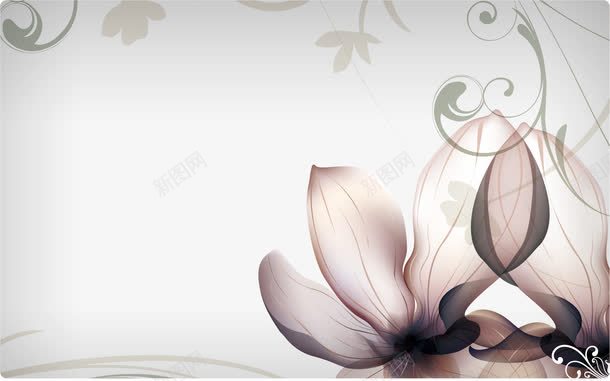 花朵优雅背景png免抠素材_新图网 https://ixintu.com 优雅背景 展板设计 花朵