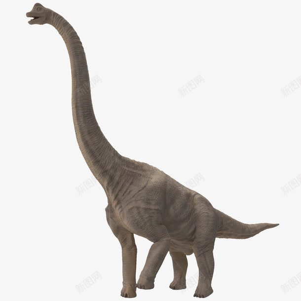 长脖子四腿恐龙png免抠素材_新图网 https://ixintu.com 3D恐龙 动物 恐龙 温和恐龙 肉食动物 长脖子四腿恐龙