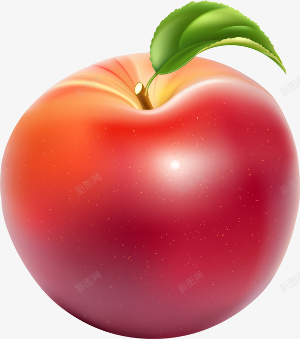 手绘红色苹果叶子png免抠素材_新图网 https://ixintu.com 光晕 手绘苹果 水果 红色苹果 绿色叶子 质感