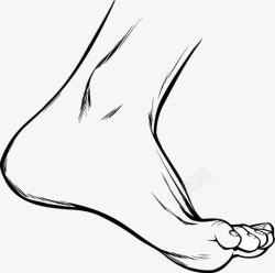 线条捏脚人体脚部素描片矢量图高清图片