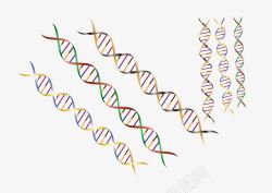 基因链文本框彩色螺旋线矢量图高清图片