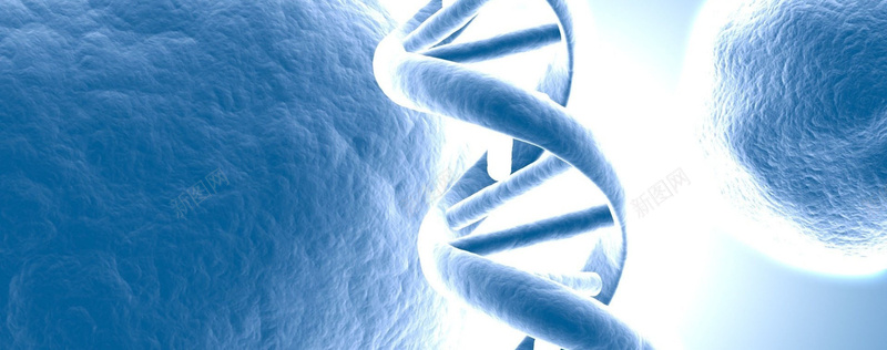 DNA基因遗传背景banner背景