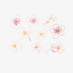 腊梅花朵卡通粉色腊梅花朵高清图片