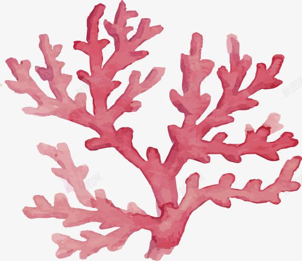 美丽手绘红色珊瑚矢量图ai免抠素材_新图网 https://ixintu.com 手绘风 水彩珊瑚 珊瑚 矢量png 红色珊瑚 美丽珊瑚 矢量图