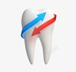 牙科3D牙齿素材