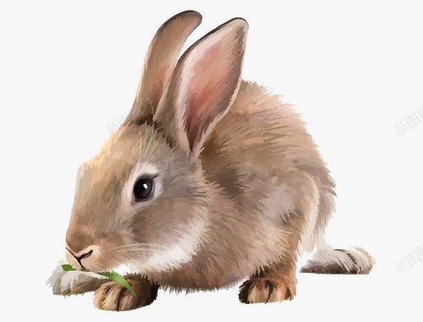 兔子png免抠素材_新图网 https://ixintu.com q版兔子 中秋 兔子 宠物 灰色