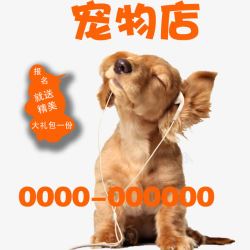 宠物店宣传单狗狗素材