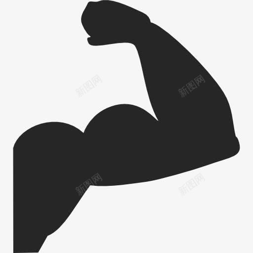 强壮的手臂图标png_新图网 https://ixintu.com 体育 健身房 强 肌 肌肉 肱二头肌 配合
