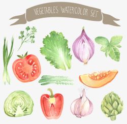 蔬菜水彩画矢量图素材