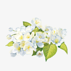 彩色小花壶手绘清新花卉高清图片