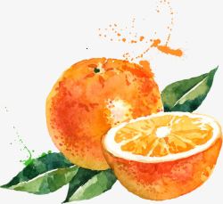 彩绘优化橙子水果矢量图素材
