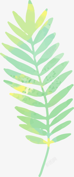 棕榈树手绘卡通植物叶子高清图片