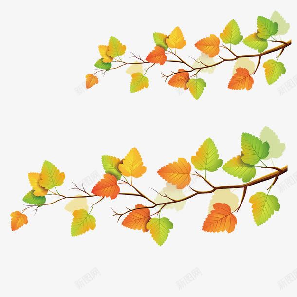 秋天树蔓png免抠素材_新图网 https://ixintu.com 唯美 树枝 海报 绿色叶子 背景 藤蔓