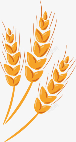 食物绘画好吃麦子抽象矢量图高清图片