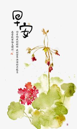 红花植物早安物语高清图片