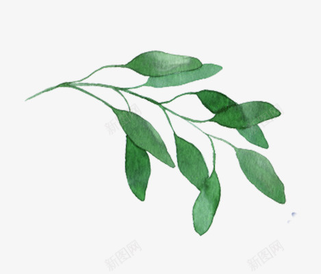 春天植物树叶png免抠素材_新图网 https://ixintu.com 春天 树叶 植物 素材