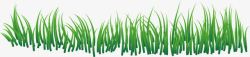 绿叶小麦苗麦苗植物高清图片