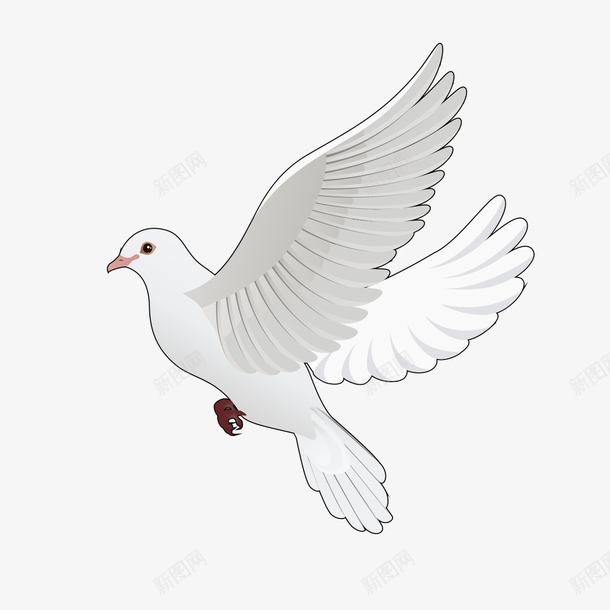 白色鸽子卡通造型png免抠素材_新图网 https://ixintu.com 卡通 卡通造型 白色 白色卡通 造型 鸽子 鸽子简笔画