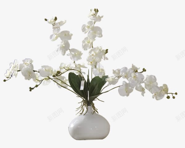 白色花瓶png免抠素材_新图网 https://ixintu.com 家居 家装 植物 花卉 花瓶