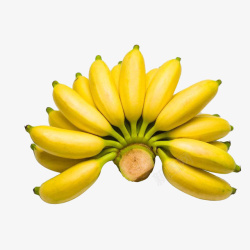 一把香蕉摄影一串黄色清新美味的小米蕉实物免高清图片
