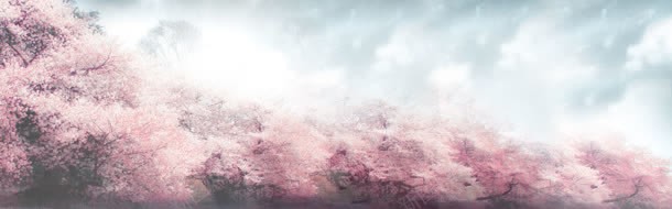 春天背景背景