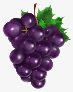 立体葡萄紫色立体的卡通葡萄高清图片