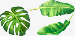 卡通热带岛屿手绘绿色树叶矢量图高清图片