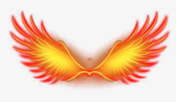 燃烧的翅膀图片火焰翅膀高清图片