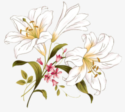 白色向日葵花手绘白色百合花花束高清图片
