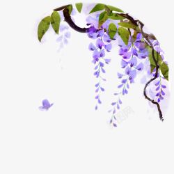 水彩藤蔓紫藤花的蝴蝶高清图片
