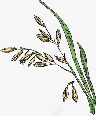 卡通手绘绿色植物麦穗图矢量图图标图标