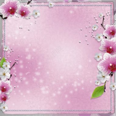 粉红花朵边框背景背景