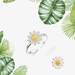 珠宝字体设计首饰海报热带叶子菊花戒指高清图片