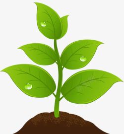 倡导绿色生命发芽的小树苗高清图片