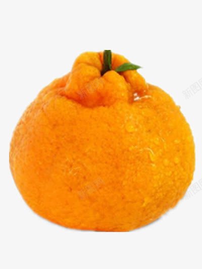 一个丑橘png免抠素材_新图网 https://ixintu.com 凸顶柑 柑橘 橘子 水果 黄色