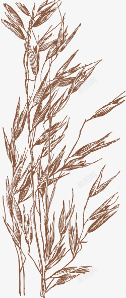 卡通燕麦农作物麦子手绘图高清图片