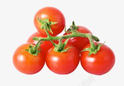 一串西红柿水果之小番茄高清图片