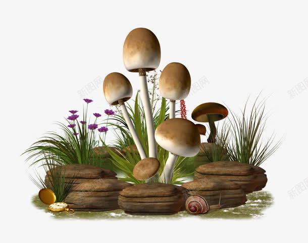 绿色植物装饰品png免抠素材_新图网 https://ixintu.com 小花 小草 石头 绿色植物 蘑菇 蜗牛