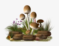 蘑菇石头绿色植物装饰品高清图片