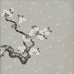 中国画底纹水墨樱花背景高清图片