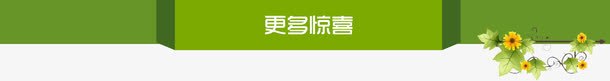 文字边框png免抠素材_新图网 https://ixintu.com 不规则几何 文字边框 树叶