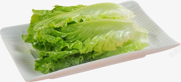 盘装生菜png免抠素材_新图网 https://ixintu.com 健康食材 新鲜蔬菜盘装 生菜 绿色 蔬菜