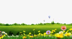 方块图案热气球绿色草坪背景菊花装饰高清图片