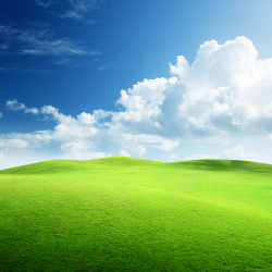 蓝天下的草原蓝天下的草原背景高清图片
