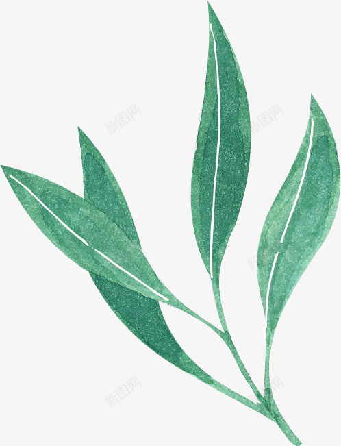 细长简单的可爱植物png免抠素材_新图网 https://ixintu.com 可爱 叶子 手绘 枝叶 植物 清新 简约 细长 美丽 长叶子