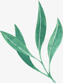 长厚叶子细长简单的可爱植物高清图片